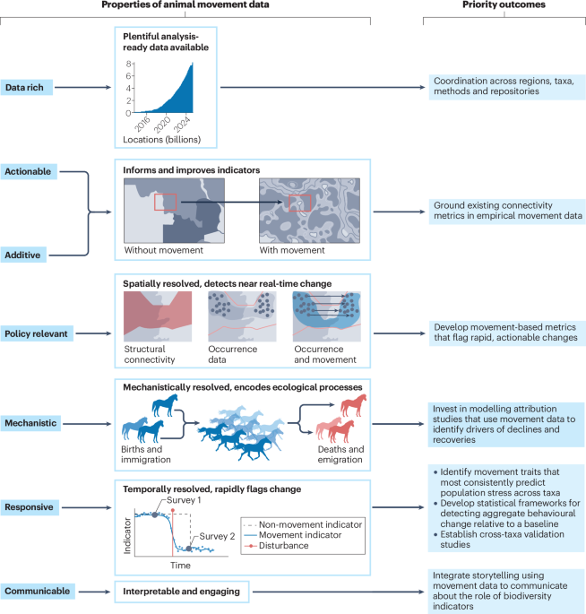 NatRevBiodiv's tweet photo. New online! A call to integrate animal movement into biodiversity indicators https://t.co/JZPGDeuzzP https://t.co/Qwtt7pNkrn