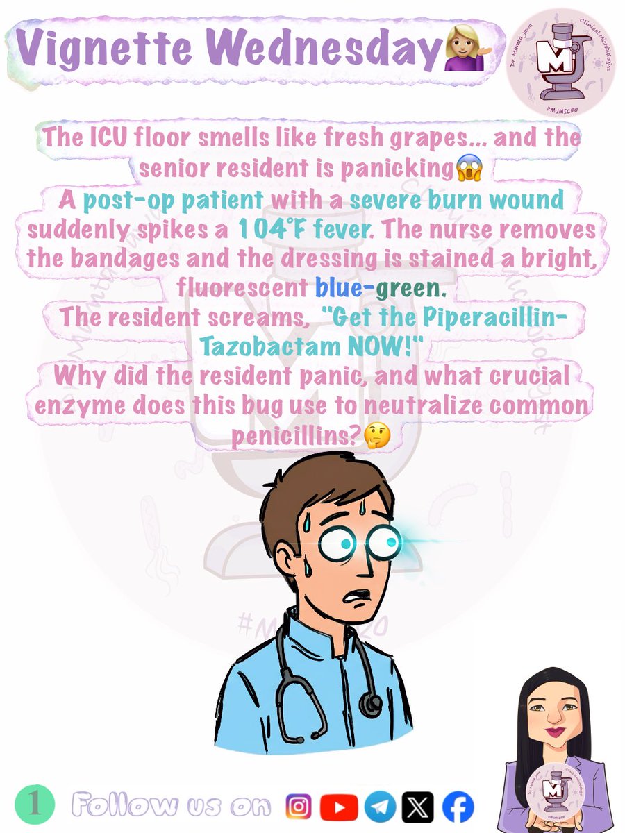 MJ_MICRO's tweet photo. Vignette Wednesday ✅🧿
#MamtaJawa #MJMICRO #microbiology #MedTwitter #MedX #MedTwt #microtwitter #neetpg #inicet #fmge #mbbs https://t.co/89lxXC9PTf