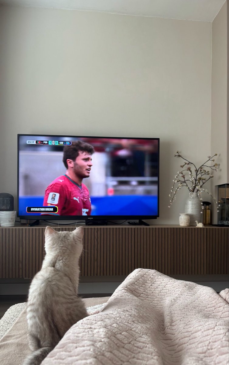 withdanina's tweet photo. Hakimi nr 1 football fan https://t.co/PAc7cO44IX