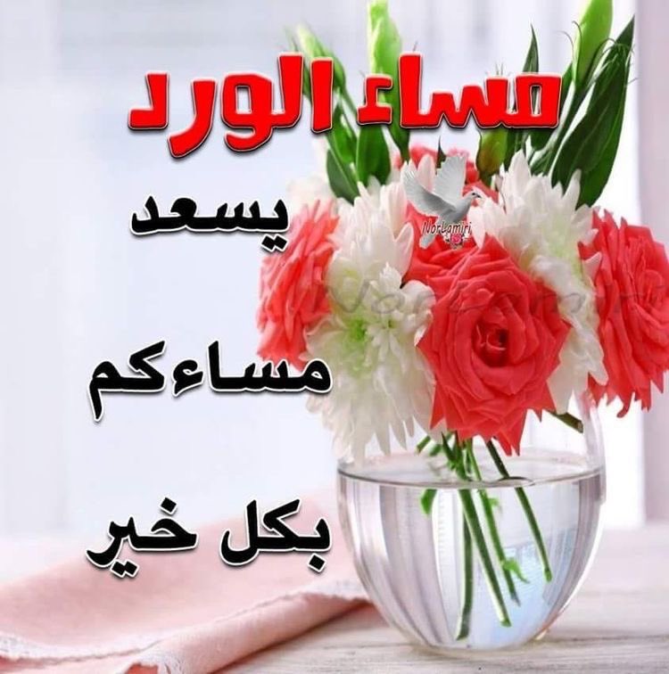 69545Am's tweet photo. @um__mustafa @Sanariaaljubori https://t.co/jNFk9L8hnN