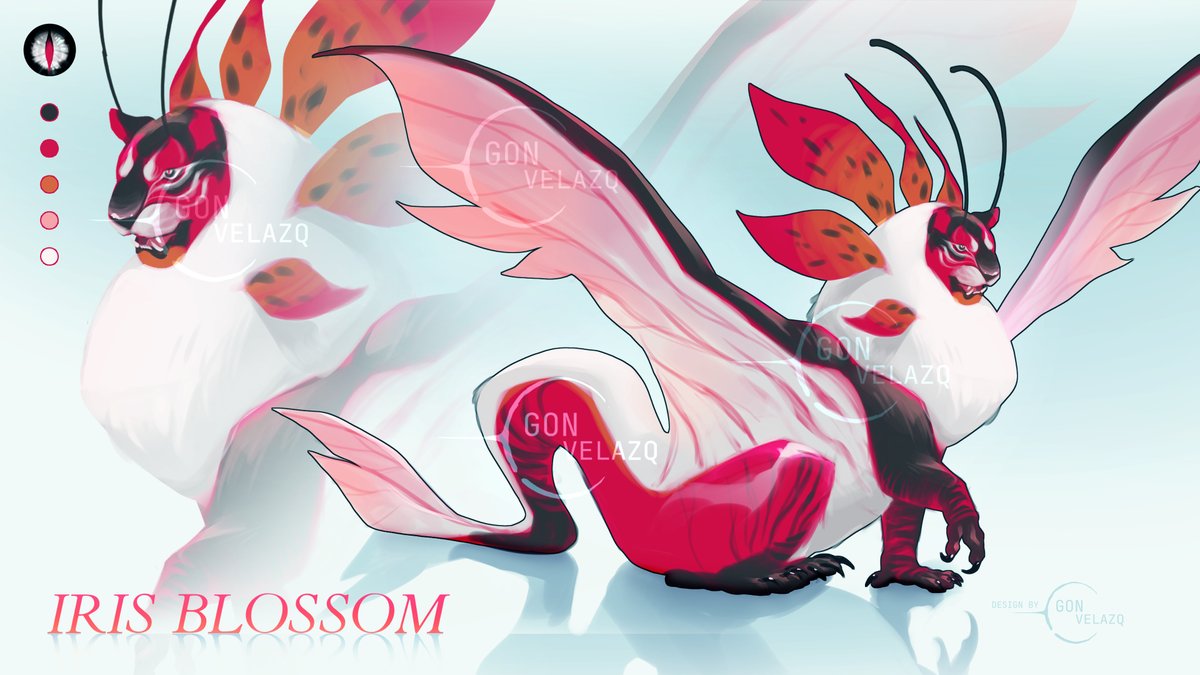 gonvelazq's tweet photo. Iris Blossom
Adopt Auction - Info below https://t.co/kqFQ2nxYhZ