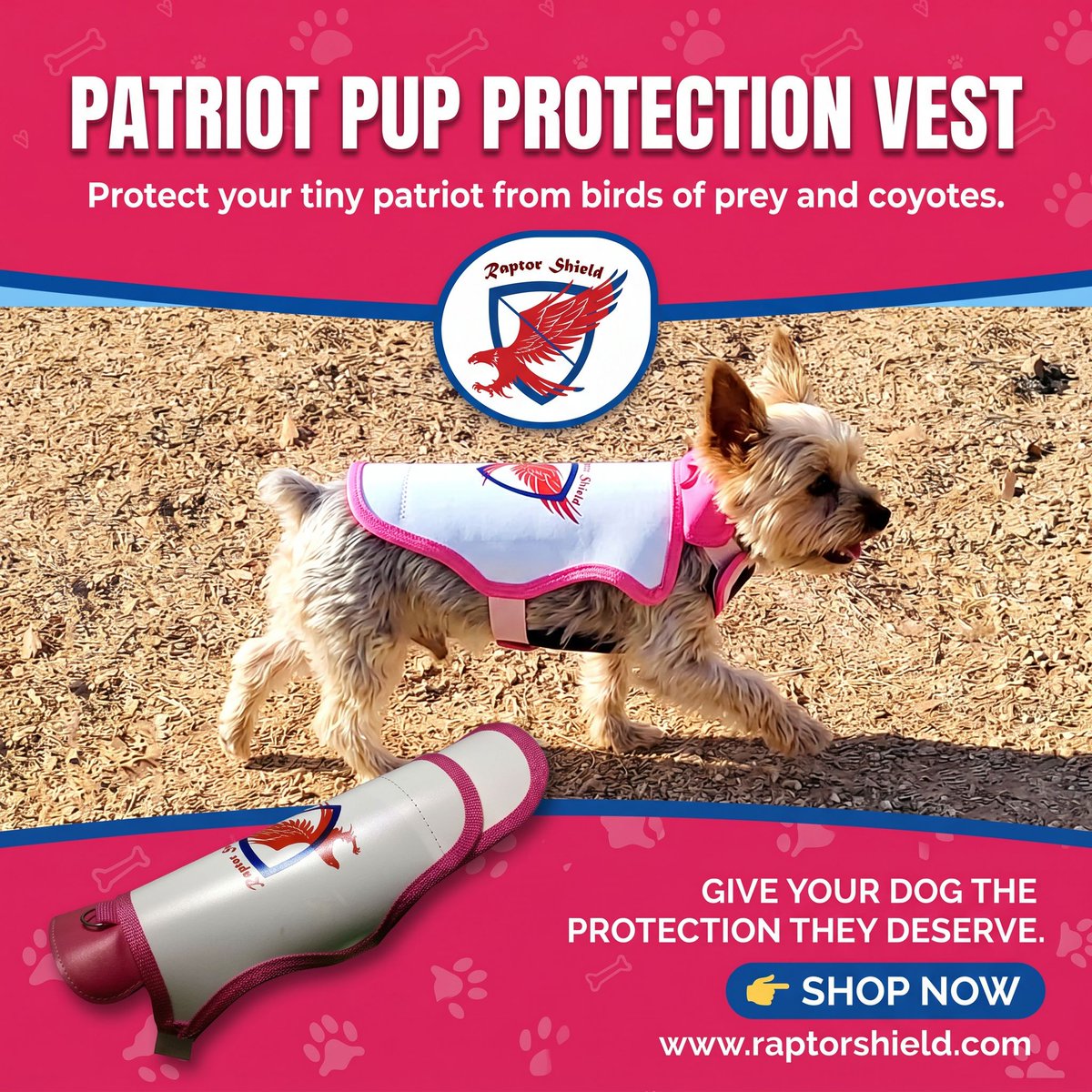 RaptorShieldInc's tweet photo. 🚨 Raptor Shield® – Protection for Your Small Dog 🚨

Available Now – FREE Shipping Anywhere in the USA!

Attention all small dog owners:

Spring is here, and so is peak hunting season for coyotes and birds of prey. As they work to feed their young, their hunting activity increases—and small dogs can become easy targets.

Your best friend could be at risk. Red-tailed hawks, eagles, owls, and coyotes can strike without warning, causing devastating injuries in seconds. These attacks are real and happen more often than many pet owners realize.

If you live near trees, wooded areas, parks, or open fields, your dog may be at a much higher risk.

That's why we created Raptor Shield®—a patented protection vest designed to help keep small dogs safer while they run, play, and enjoy the outdoors.

✅ Patented puncture-resistant protection
✅ Lightweight and comfortable
✅ Designed specifically for small dogs
✅ Made in the USA
✅ Free Shipping Anywhere in the USA
Don't wait until a close call becomes a tragedy.
Give your best friend the protection they deserve with Raptor Shield® Protection Vests and Collars.
👉 Visit https://t.co/GXmwzozO8w or get yours on Amazon today.
Raptor Shield® — Because Every Second Counts When It Comes to Protecting Your Best Friend. 🐾