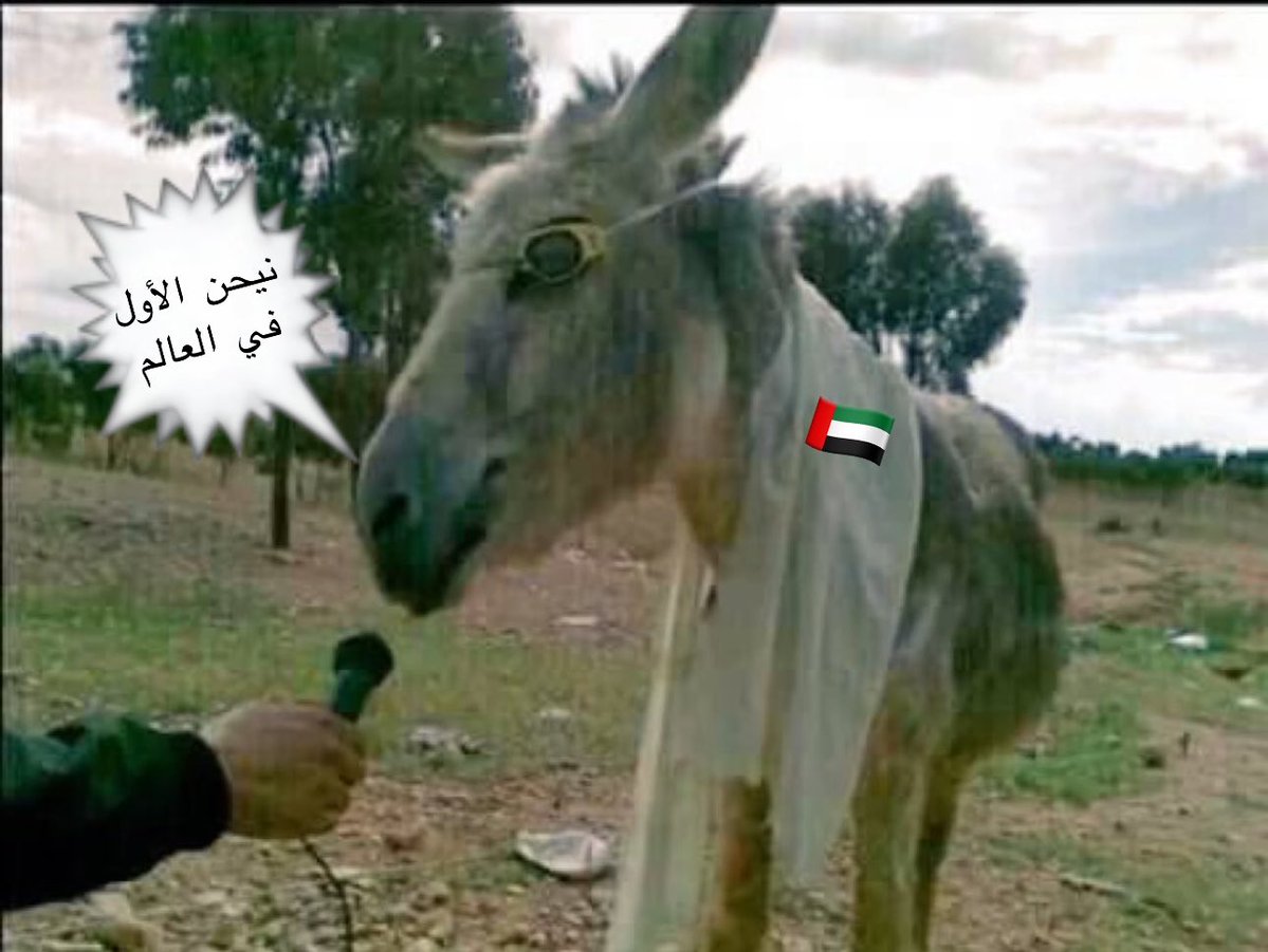 🏇 𝕊𝕌𝕃𝕋𝔸ℕ𝔸ℍ 🇸🇦 tweet media