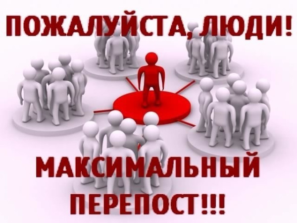 первый могильщик tweet media
