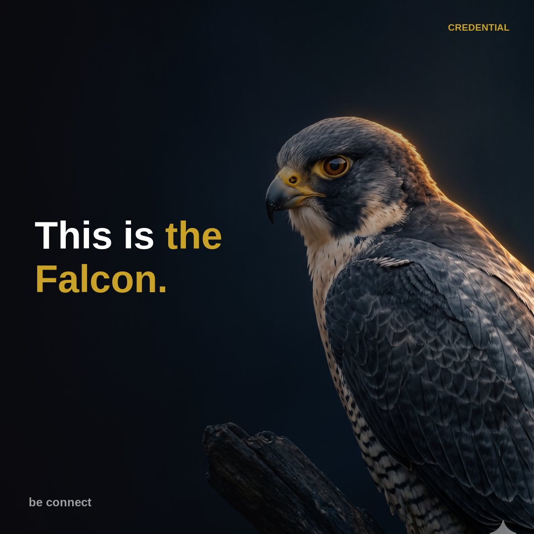 wearebeIRL's tweet photo. You see it before anyone says a word. The table that's about to need clearing. The guest stood at the door looking lost. The queue building at check-in. You're already moving while everyone else is still catching up.
That's the Falcon. https://t.co/oC1SZCexUz