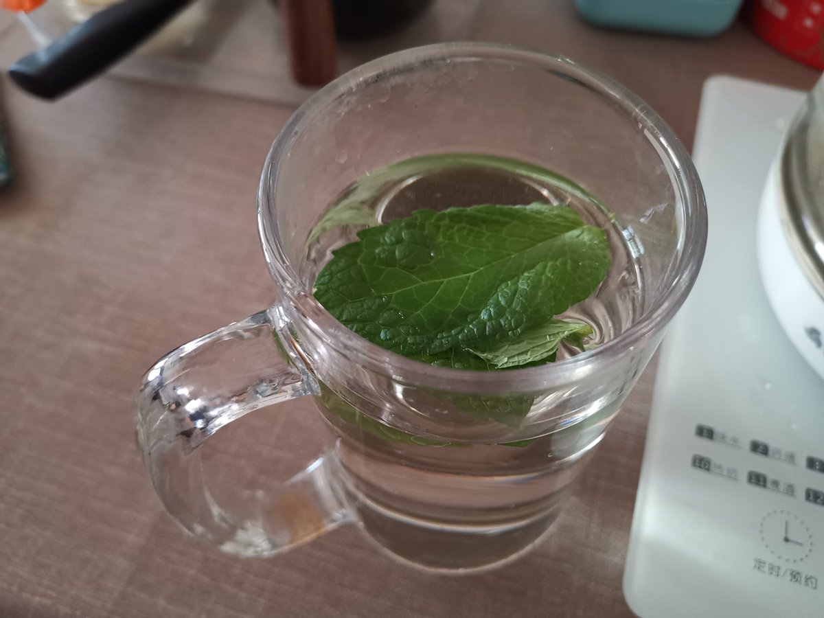 mutantoxi's tweet photo. Try this 2-min iced lemon mint soda! Squeeze 1 lemon, muddle a few mint leaves, top with cold soda u0026 ice. Refreshing, zesty u0026 perfect for hot days! https://t.co/EoEfC5e3cL