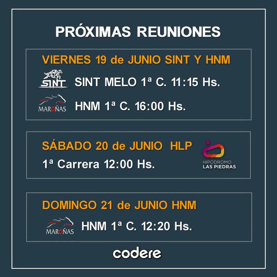 MasHipica's tweet photo. Próximas reuniones hípicas 🐎
📅 Fechas + 📍 lugares
¡Nos vemos en el turf! 🇺🇾
#Maroñas #LasPiedras #sint https://t.co/szguCJktrW