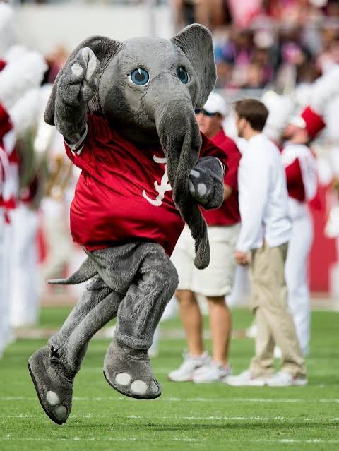 JanzenCurrie1's tweet photo. Blessed to receive a offer from the university of Alabama. https://t.co/Nc1nZrU1Kl