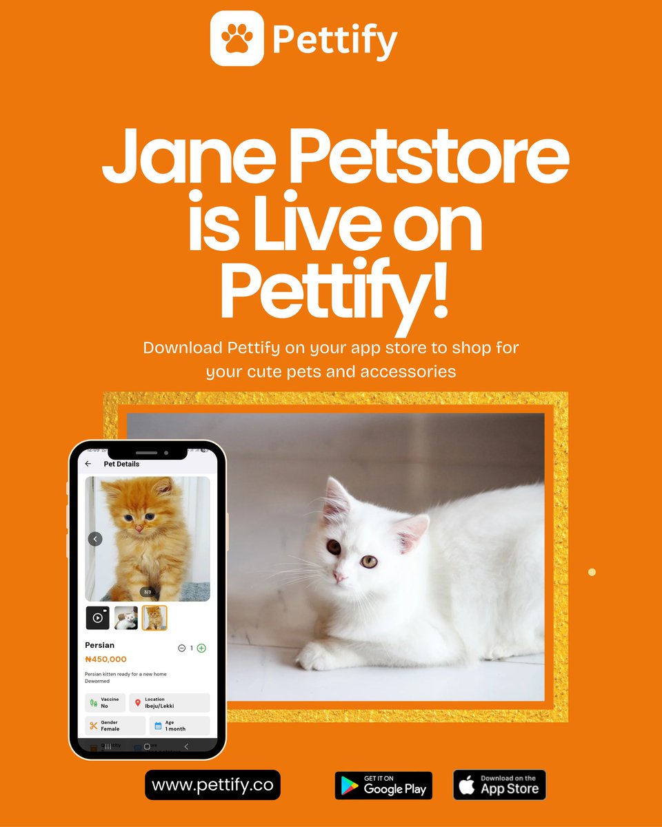 usepettify's tweet photo. Say hello to your new favourite pet vendor. Adopt cute pets on Pettify
Download the app on Google play &amp; Apple store.
🧡
https://t.co/lCUlS8O8hB https://t.co/ziPWEkaT2W