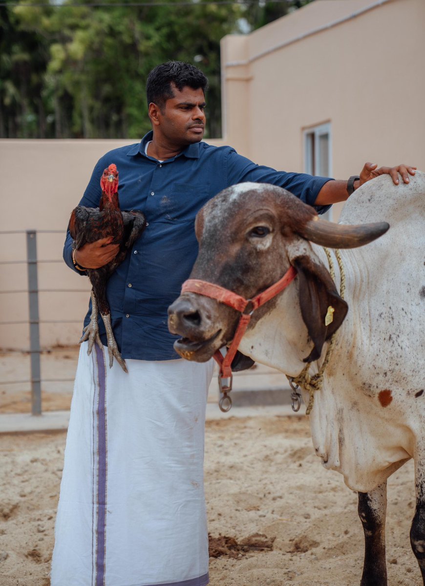 Johni_raja's tweet photo. நான் ஏற்கனவே கூறியதுபோல், அண்ணாமலையார் தற்போது தனது அரசியல் சிந்தனைகளையும் கொள்கை நிலைப்பாடுகளையும் மறுசீரமைக்கும் கட்டத்தில் இருக்கிறார். எனவே, அடுத்த ஆறு மாதங்களுக்கு அவரை தேவையற்ற விமர்சனங்களாலும் அழுத்தங்களாலும் சிக்கவைக்காமல், பொறுமையுடன் அவரது நகர்வுகளை கவனிப்போம். 🙏

பாஜக என்பது ஆழமான சித்தாந்த அடித்தளத்தையும் நீண்ட அரசியல் பாரம்பரியத்தையும் கொண்ட ஒரு கட்சி. அதிலிருந்து விலகி, தனக்கென ஒரு அரசியல் அடையாளத்தையும் தனித்துவமான பாதையையும் உருவாக்குவது ஒரே இரவில் நடக்கக்கூடிய விஷயம் அல்ல; அதற்கு காலமும் பொறுமையும் தேவைப்படும். எனவே, அண்ணாமலையாரின் ஆதரவாளர்கள் அவரது ஒவ்வொரு கருத்துக்கும் உடனடியாக எதிர்வினையாற்றாமல், நிதானத்துடனும் முதிர்ச்சியுடனும் அவரது பயணத்தை உற்றுநோக்குவது சிறந்தது. 🙏🧡

@annamalai_k #Annamalai 
@WTLFoundation