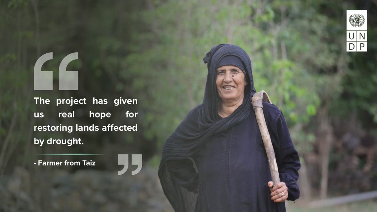 UNDPYemen's tweet photo. On #DesertificationAndDroughtDay, farmers from Lahj and Taiz share their experiences with drought &amp; land degradation. 🌾
 
Thru @UNDP's #ERA Project, efforts are helping restore agricultural land and support sustainable farming practices.
 
Thanks to @BMZ_bund thru @KfW_fz_int. https://t.co/bOxTciSHWl