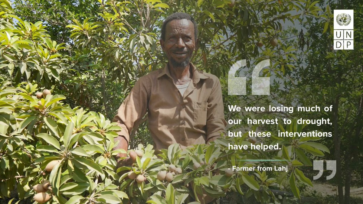 UNDPYemen's tweet photo. On #DesertificationAndDroughtDay, farmers from Lahj and Taiz share their experiences with drought &amp; land degradation. 🌾
 
Thru @UNDP's #ERA Project, efforts are helping restore agricultural land and support sustainable farming practices.
 
Thanks to @BMZ_bund thru @KfW_fz_int. https://t.co/bOxTciSHWl