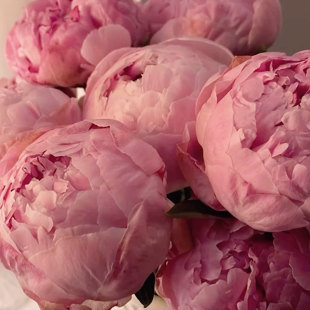 118 flowers tweet media