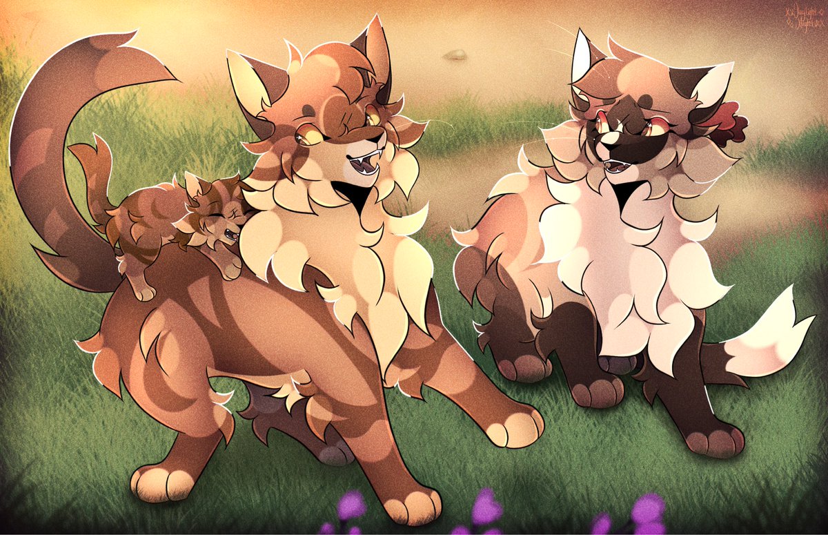 Jaylight_Night's tweet photo. Onewhisker | Morningflower | Gorsepaw | 

Redraw/based on niftysenpai Windclan camp :3
#warriorcats https://t.co/pMzBOnp9TK