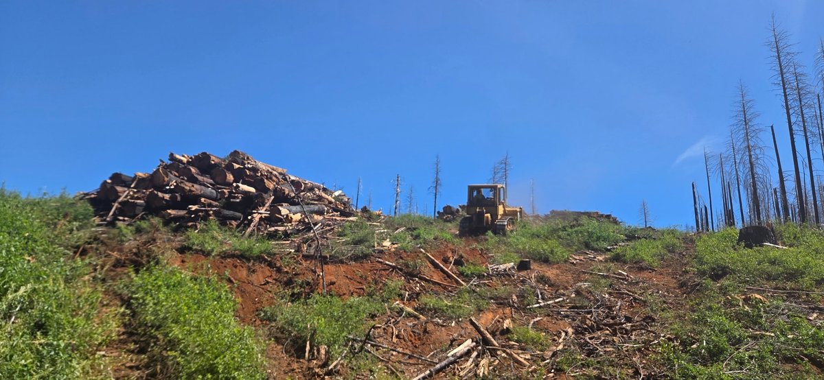 EDWaterAgency's tweet photo. Excited to partner with El Dorado Resource Conservation District on a restoration project to fix the upper Cosumnes River watershed’s critical condition after years of drought and the catastrophic Caldor Fire. This project is critical for protecting the Grizzly Flats community. https://t.co/Sbjne2G81Z