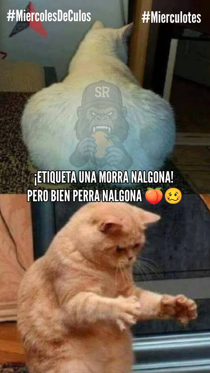 SrDeLosCulotes's tweet photo. #MiercolesDeCulos 🍑 #Mierculotes
ETIQUETA A TU AMIGA LA DEL PERRO CULAZO 🍑🥴👅
QUE AQUI LE PONEMOS LA CARA PARA QUE SE SIENTE🥴
https://t.co/arWnhe3U9j https://t.co/V2Xdm7GYaL