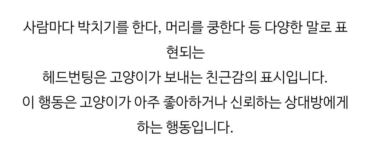 1eavesummer's tweet photo. 헤드번팅 https://t.co/tGqCiZhCyS
