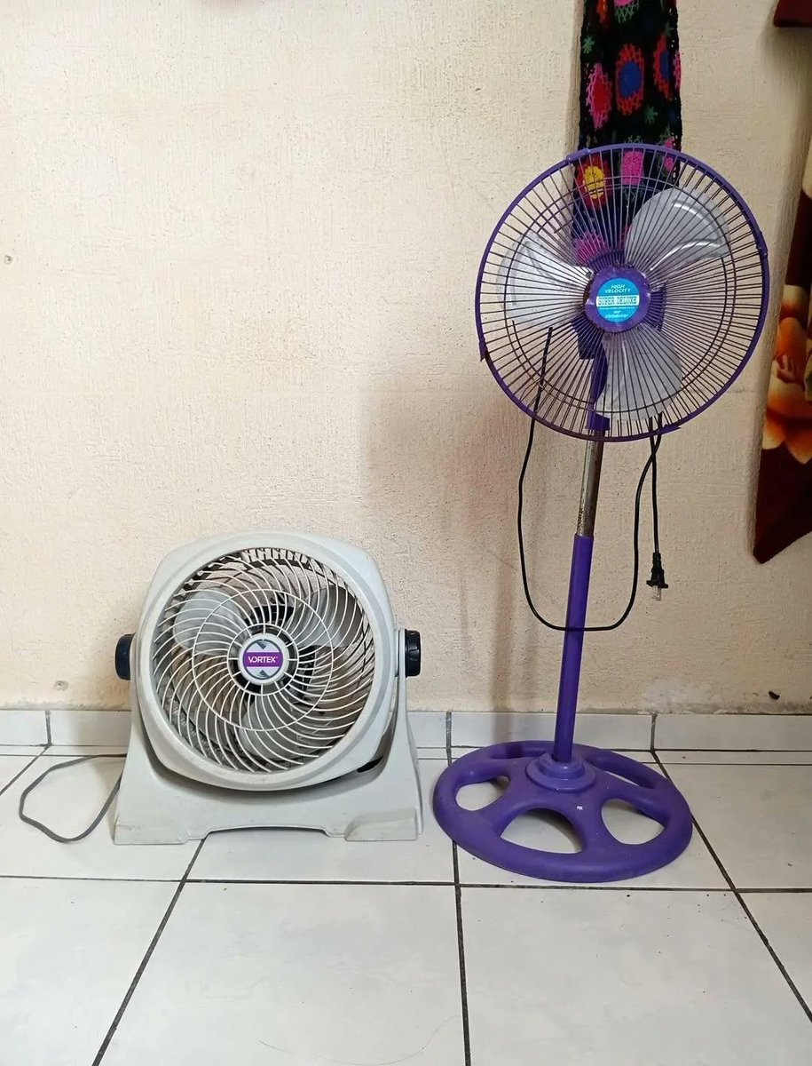 OnlyFanzSol's tweet photo. Big sister and little brother fan. $ONLYFANZ https://t.co/4UlMxcJcro