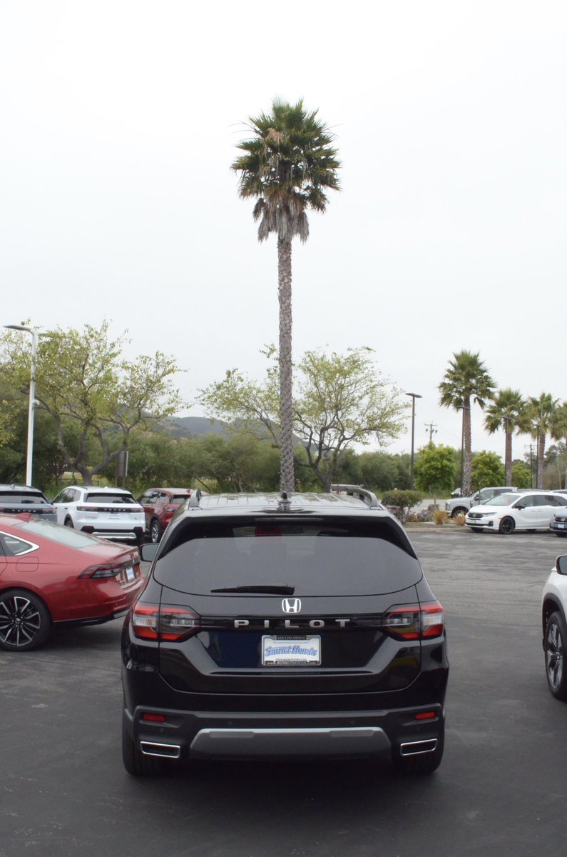 SunsetHonda's tweet photo. ✨ [Black] 2026 Pilot 2WD EX-L ✨
#SunsetHonda #Honda #SanLuisObispo #CarDealership #DreamCar #AutoSales #CentralCoatAutos #NewCars #PilotForSale https://t.co/Qnq2MDITUB