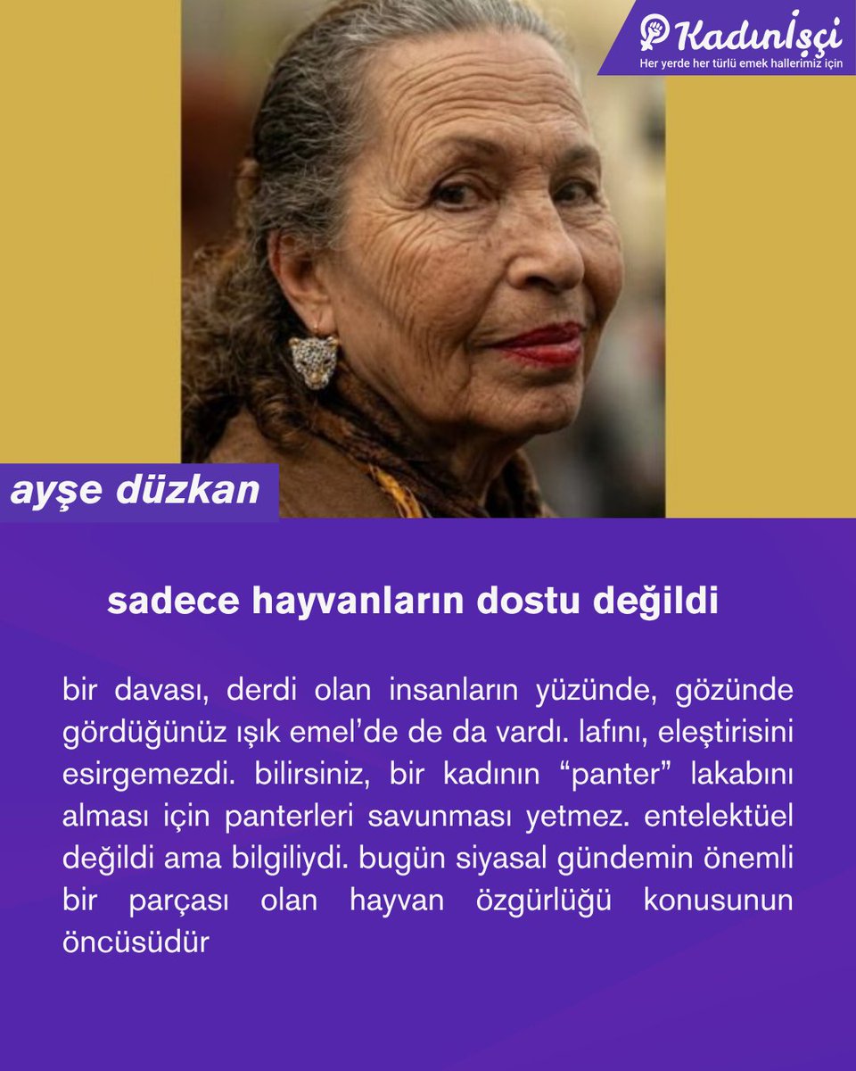 kadin_isci's tweet photo. "emel yıldız da dahil hareketin öne çıkan kişilikleri, istanbul’un en olmaları gereken yerinde, bir curcuna olan yeraltı ile özgürlükçü siyasetin ortasında, ikisine de değen bir noktada duruyorlardı."

ayşe düzkan (@ayseduzka), Panter Emel lakaplı Emel Yıldız'ı ve 80'lerde İstanbul'da gelişen farklı siyasi hareketleri yazdı. 
https://t.co/YuzIwI6Cca