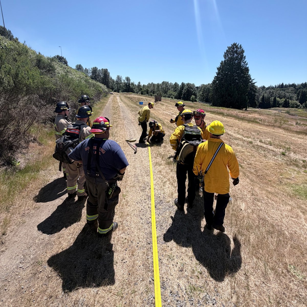 Renton Regional Fire Authority tweet media