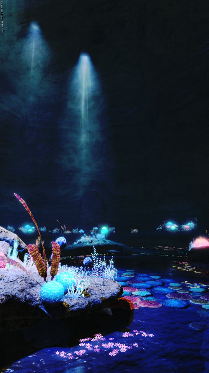 Luculia_ff14's tweet photo. おやすみなさい！
#FF14 #FF14風景 https://t.co/nNU4WgeOpn