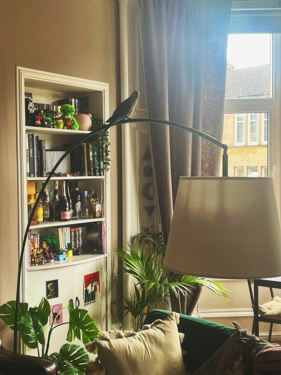 kvwviiju's tweet photo. little lordling is making himself at home in the flat https://t.co/FSIrkppEmh