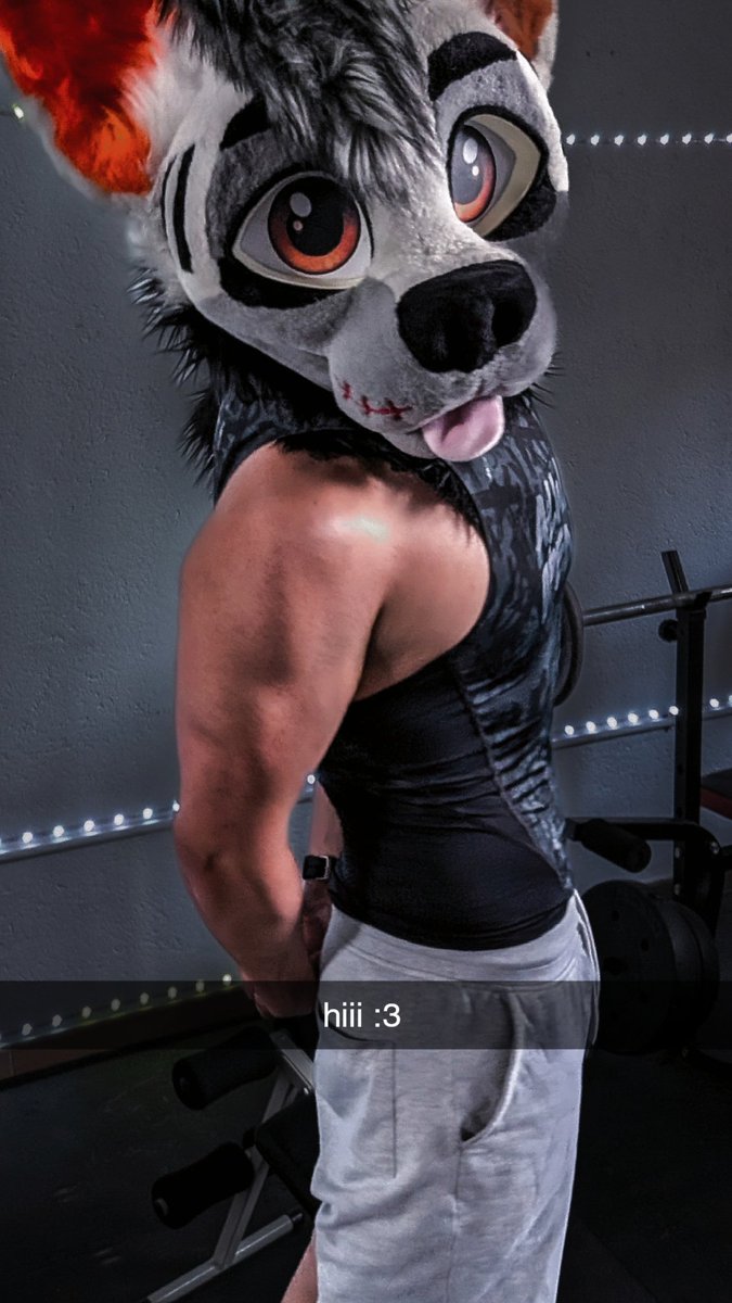roofy_wolfie's tweet photo. he missed you https://t.co/sj74U99EZ7