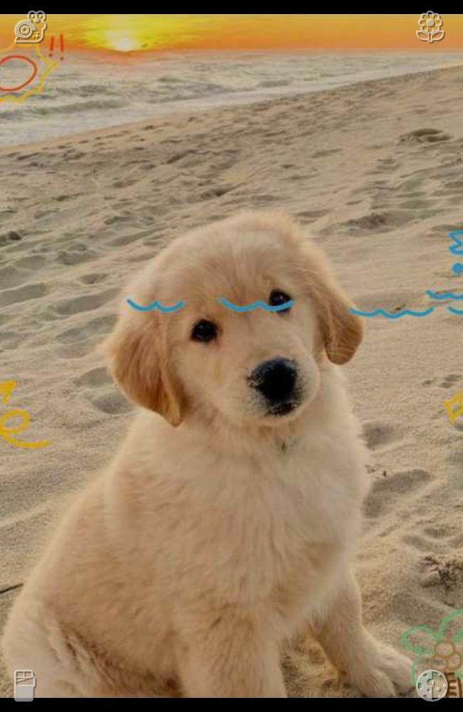 KayStrebs's tweet photo. 午饭后，她把餐巾纸扔进垃圾桶，接着重新装满了水瓶。她回到座位上，再次打开设计软件，继续进行 Lisa 要求进行的调整工作。 https://t.co/tiny3iU9P1