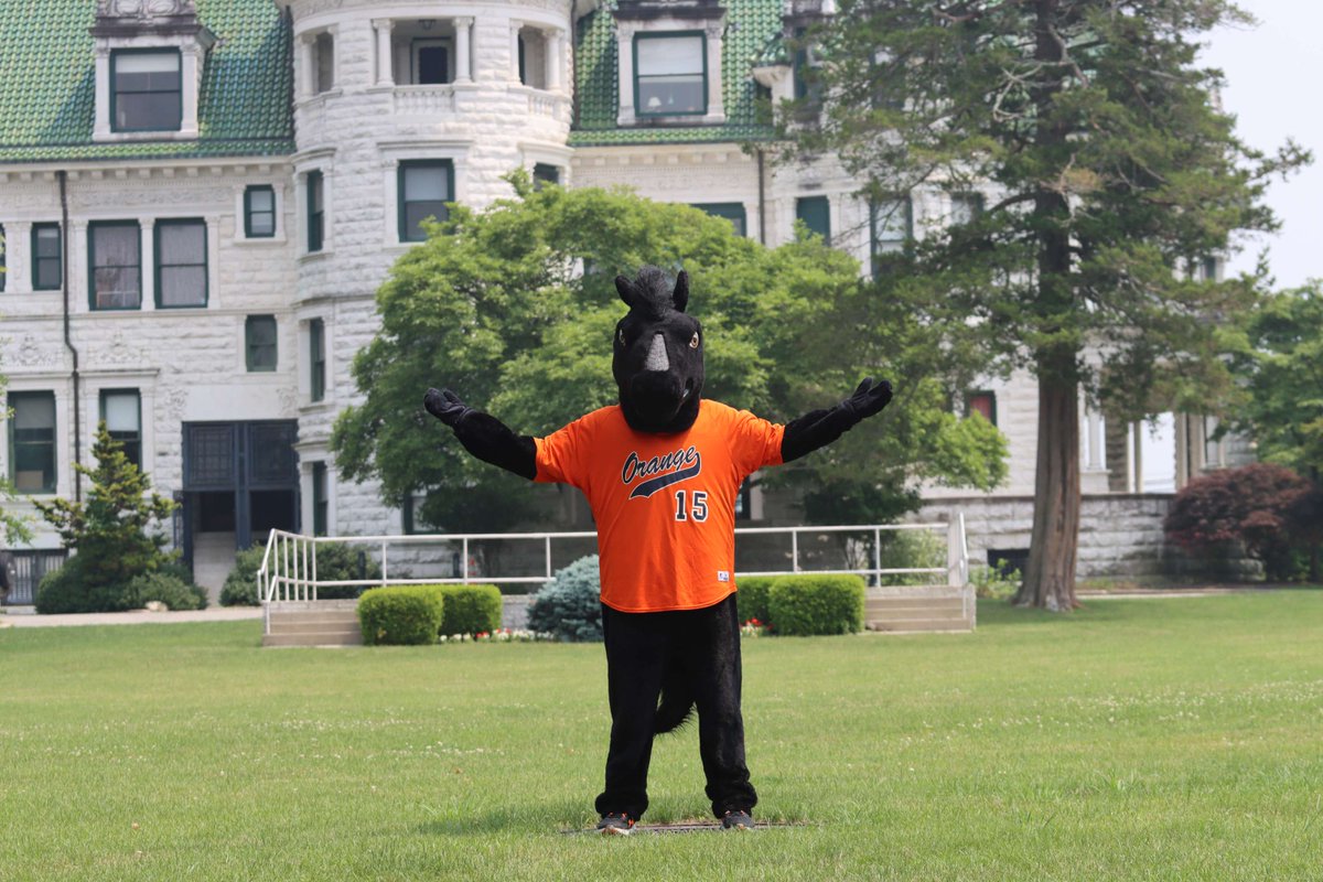 SUNY_Orange's tweet photo. On #NationalMascotDay we salute our one &amp; only Colt 🫡 https://t.co/ge9hpBkiFx