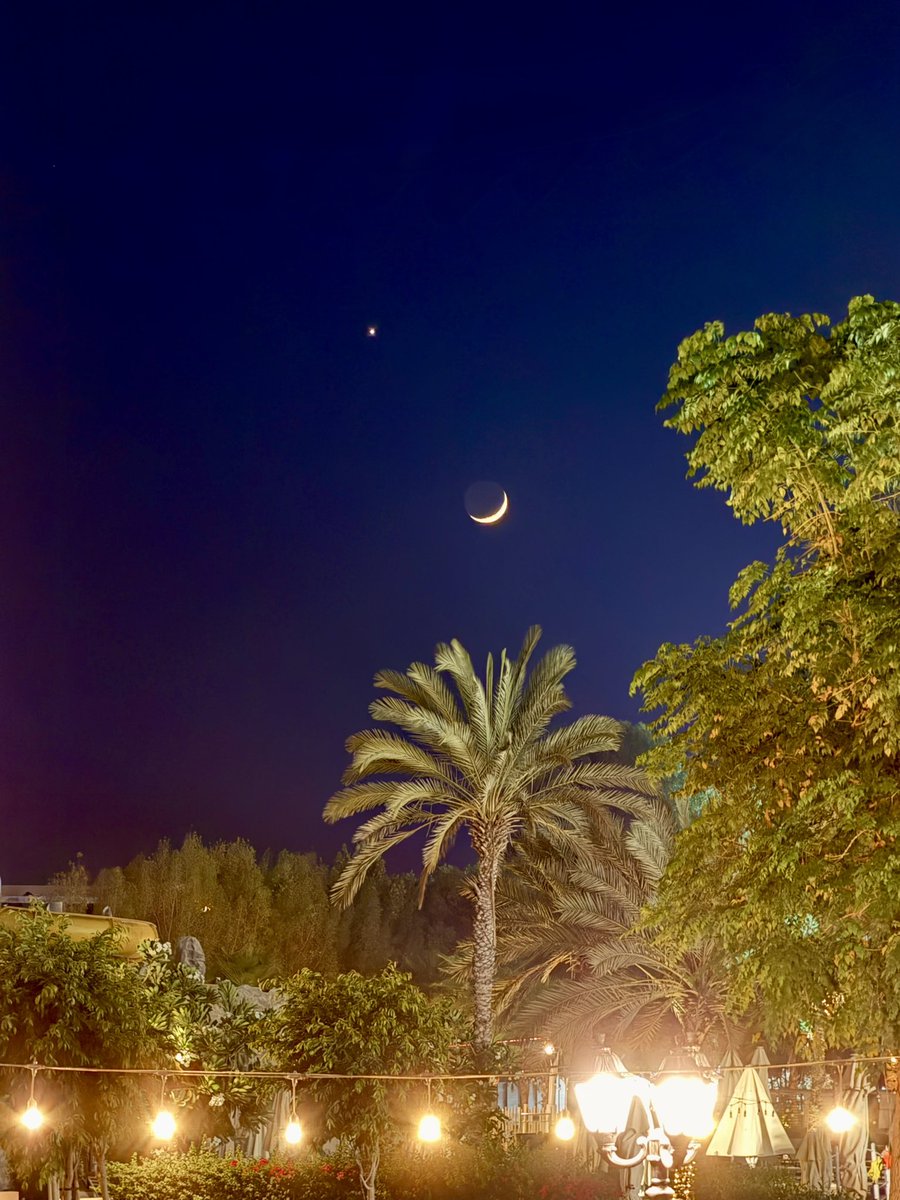 InertiaSeeps's tweet photo. A young crescent Moon, Venus above it, and the Moon’s dark side glowing faintly from Earthshine. 

In other words, you’re looking at sunlight reflected from Earth, hitting the Moon, and making the return journey back to your eyes ✨

Tonight’s sky is a lesson in perspective 💫 https://t.co/W12drQ3sz3