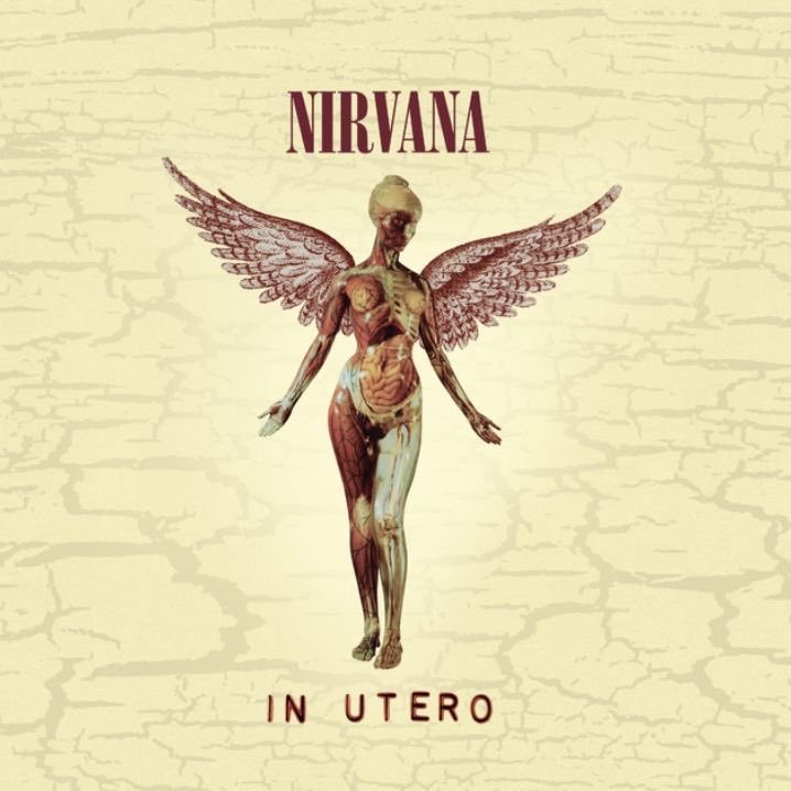 h6liday's tweet photo. hi :) share your favorite albums and let people make assumptions about you! https://t.co/UEMRUmyfBz