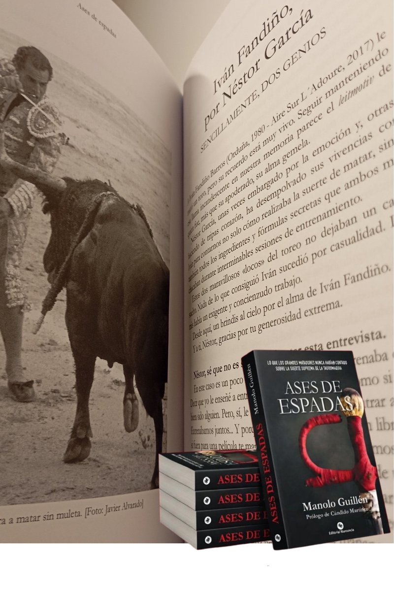manolicoguillen's tweet photo. Con el recuerdo y tristeza en el aniversario de la tragedia, gracias, @ngp_1974, por tu valor y compromiso para contar en el libro @asesdeespadas cómo entendía Iván Fandiño la Suerte Suprema.

Y hacernos partícipes de ello a todos los que os admiramos a ti y a él.

Mucho ánimo. https://t.co/jqpMihSWlU