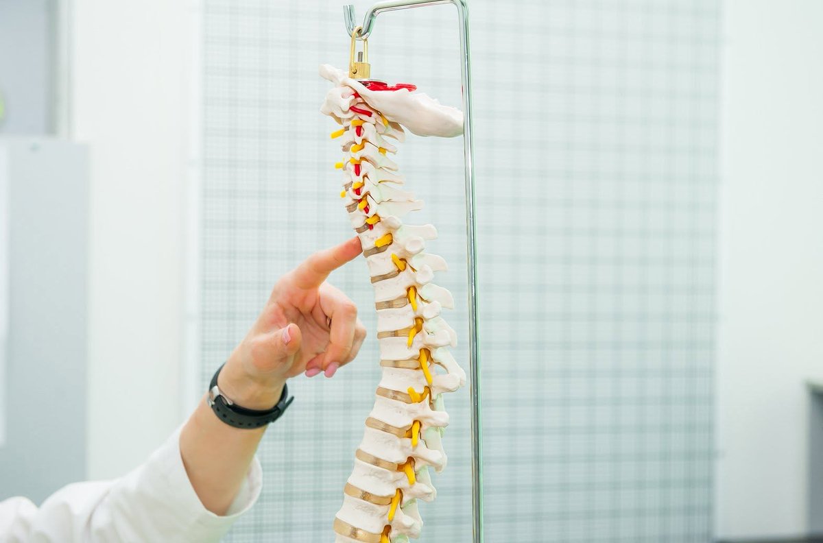 miorthoandspine's tweet photo. Enjoy a life without pain, guided by our experts who prioritize your comfort and well being!

Learn more at https://t.co/E6mWo0LVGI. https://t.co/RZ6zJgRO1M