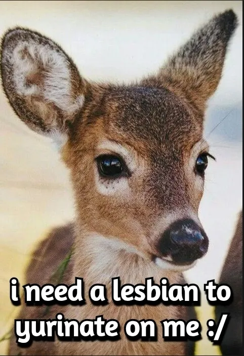 mfing deer girl 2sday tweet media