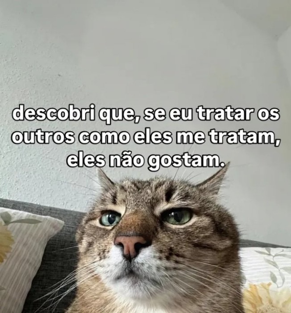 soulembrancas's tweet photo. https://t.co/qfxLc9Y9B6