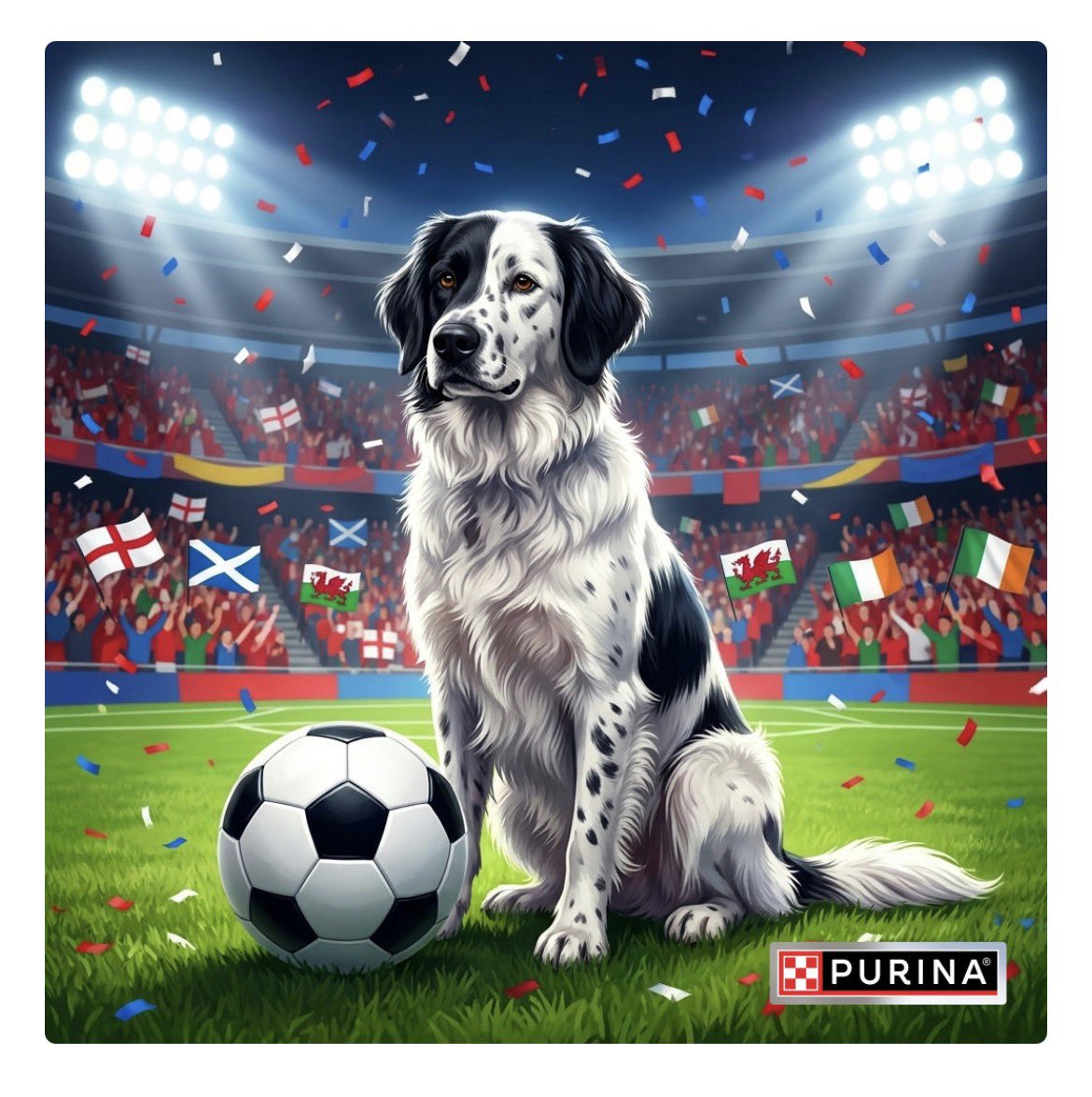 Emjay1812's tweet photo. Our rescue Bulgarian Karakachan Norris is England ready for our first World Cup 🏴󠁧󠁢󠁥󠁮󠁧󠁿🏴󠁧󠁢󠁥󠁮󠁧󠁿🏴󠁧󠁢󠁥󠁮󠁧󠁿 #threelions #AI https://t.co/cfFJkzdrk5