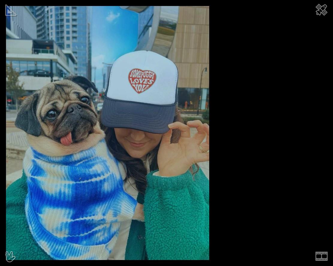 pedroseidel00's tweet photo. 过了一会儿，我翻身趴在水里，用蛙式游了几圈。我的双臂划出宽阔的弧度，双腿像青蛙一样蹬水。虽然这比自由泳慢，但能拉伸肌肉，缓解紧张感。 https://t.co/WjlmxKwj0n