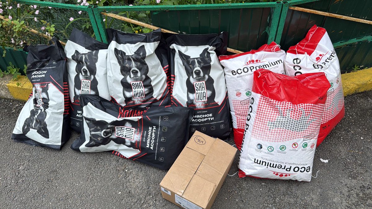 Lana_OSA's tweet photo. Друзья, пожалуйста помогите,
всего 50-100 рублей - совершенно небольшая сумма для каждого человека...  Все они попали к нам по самым разным причинам, но всем им одинаково некуда больше пойти...И не на кого рассчитывать!🙏 
У нас  долги за корма, передержку. 
2202200913862288 https://t.co/kOoVLANNxC