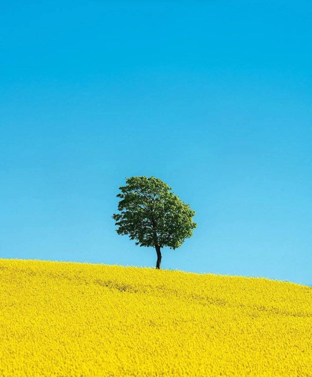 MYfromTURKIYE's tweet photo. I'm from Turkiye
I stand with Ukraine
#StandWithUkraine 
🇹🇷🤝🇺🇦 https://t.co/zHa7rIPTBA