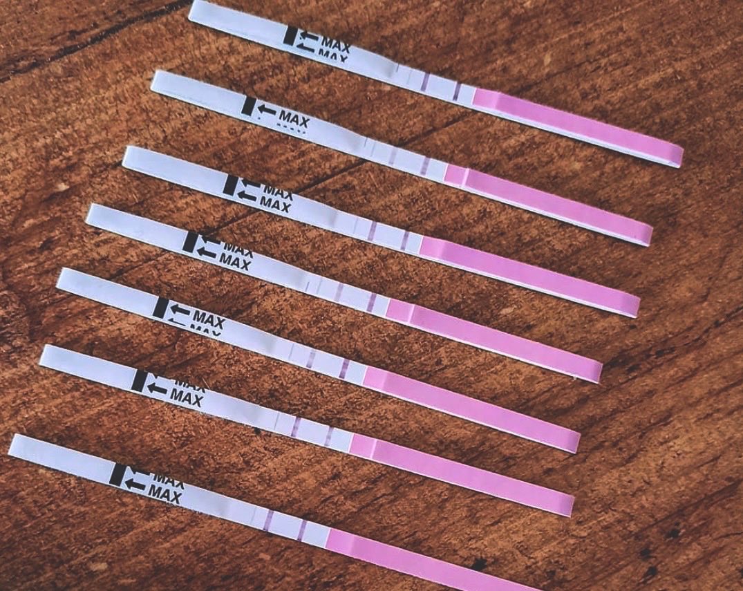 Emuliiina's tweet photo. Snad mi mou menší pauzičku odpustíte, intenzivně jsem vzpomínala na svoji jarní dovču😀😋🤷🏼‍♀️👩🏼‍🏫 #hups #upaltemě https://t.co/2lqBIoxIlK