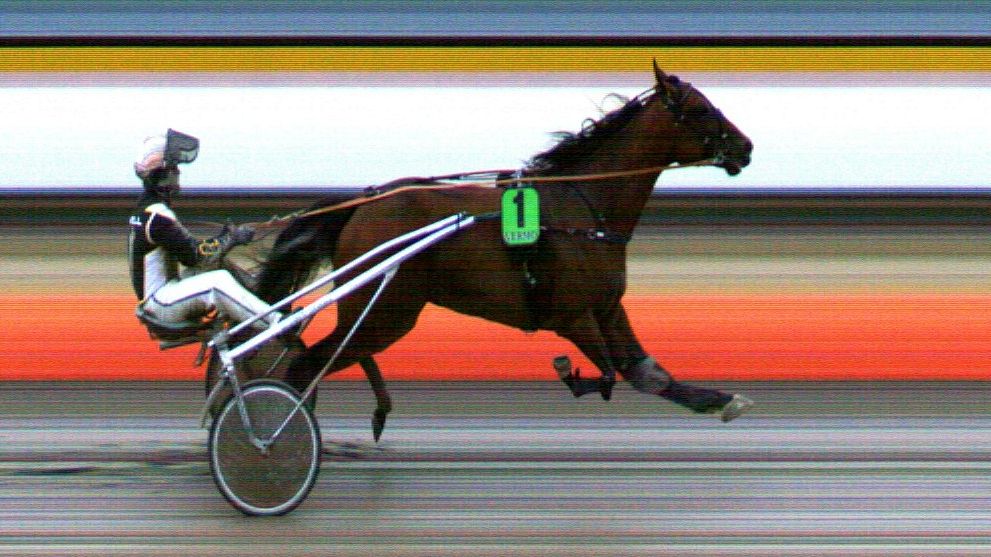 VermoAreena's tweet photo. L9: Derby-sarjan sankari oli Shackhills Giant, Jari Kinnusen valmennettavalla ajoi @varis_tuukka.  Terhi Heimo hoitaa oria jonka omistajat ja kasvattajat ovat Henna Strand &amp; Jari Kinnunen. Voittotulos 15,4, oikein paljon onnea koko jengille #ravit https://t.co/izHToEjucf