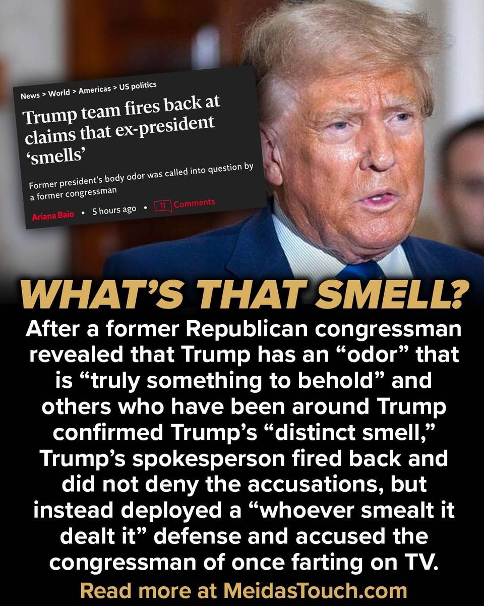 GNRtruth's tweet photo. @atrupar @SPBMcKenna He is drawing flies now? Must be the smell.. #TrumpStinks https://t.co/5hq4luITiX