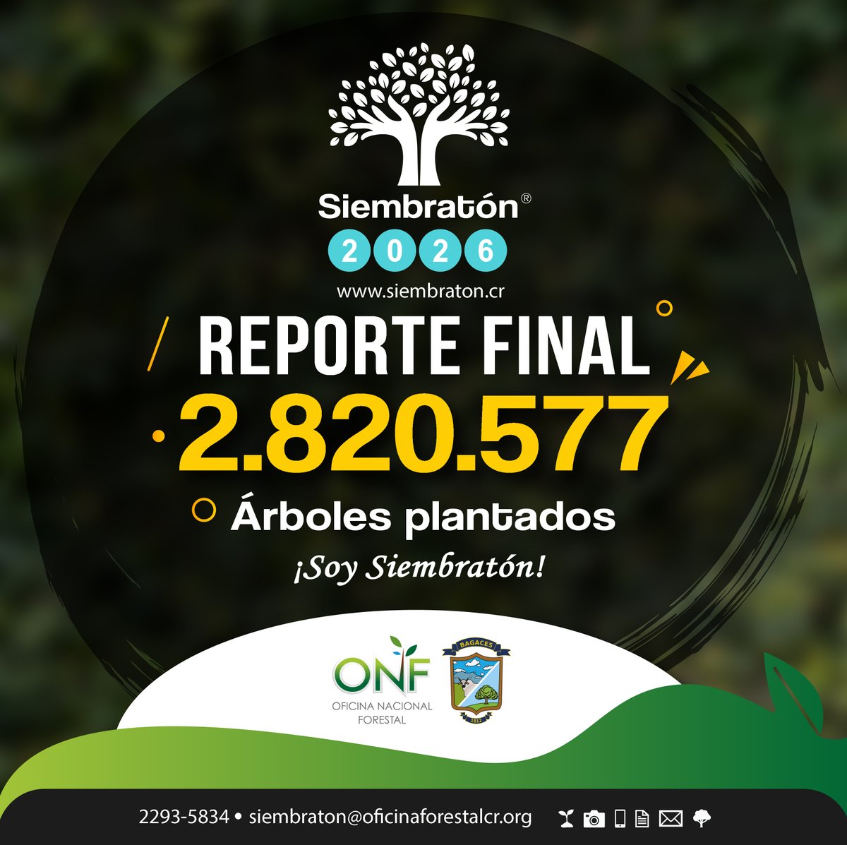 onf_cr's tweet photo. 🌳 🇨🇷 ¡𝐂𝐨𝐬𝐭𝐚 𝐑𝐢𝐜𝐚 𝐫𝐨𝐦𝐩𝐞 𝐫𝐞́𝐜𝐨𝐫𝐝 𝐝𝐞 𝐫𝐞𝐟𝐨𝐫𝐞𝐬𝐭𝐚𝐜𝐢𝐨́𝐧!  

𝐒𝐢𝐞𝐦𝐛𝐫𝐚𝐭𝐨́𝐧 𝟐𝟎𝟐𝟔 𝐚𝐥𝐜𝐚𝐧𝐳𝐨́ 𝐮𝐧𝐚 𝐜𝐢𝐟𝐫𝐚 𝐡𝐢𝐬𝐭𝐨́𝐫𝐢𝐜𝐚 𝐜𝐨𝐧 𝟐.𝟖𝟐𝟎.𝟓𝟕𝟕 𝐚́𝐫𝐛𝐨𝐥𝐞𝐬 𝐩𝐥𝐚𝐧𝐭𝐚𝐝𝐨𝐬 𝐞𝐧 𝐭𝐨𝐝𝐨 𝐞𝐥 𝐩𝐚𝐢́𝐬. https://t.co/PQWZwSB96o