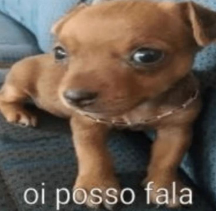 Millbyline's tweet photo. @iam_grid7 Amiga aqui foi em!! https://t.co/clvrSS0vR5