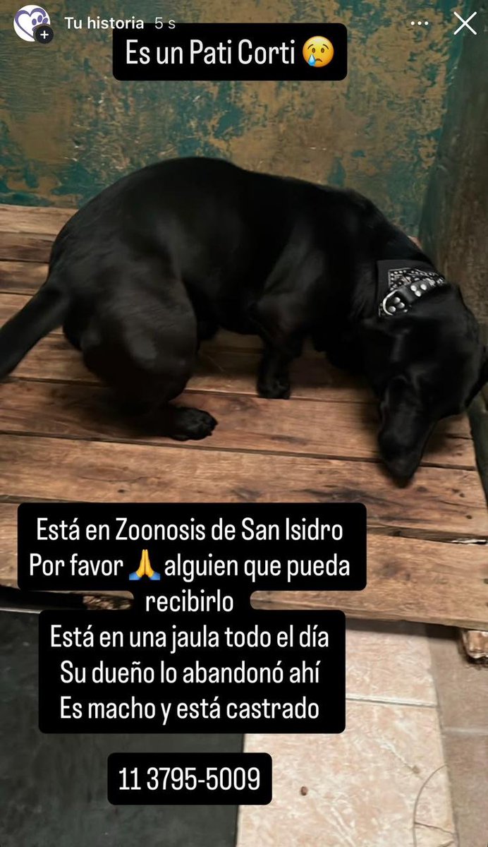 patripeyrou's tweet photo. Difundimos https://t.co/JMn85lhkte