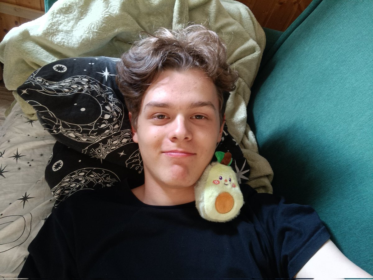 Vladimir Järviden 🌲 tweet media