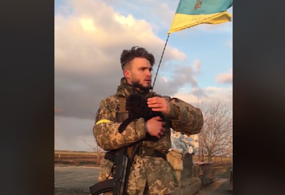 AnnaSk75324313's tweet photo. Добрий вечір, друзі! 
Подяка і хвала мужнім, відважним, нескореним і незламним захисникам та захисницям України! 
Бережи їх, Боже! 💙💛❤️ https://t.co/OgQyyQsRoE