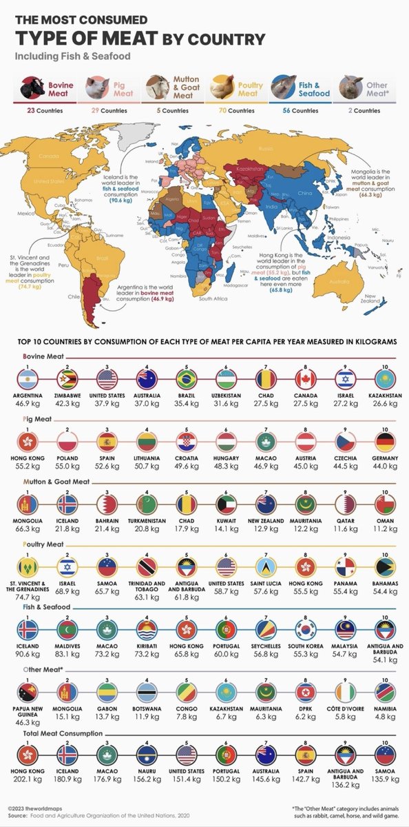 eadj1975's tweet photo. @eduardovazquezc @NicoBlindAr https://t.co/vqjgqLohJp