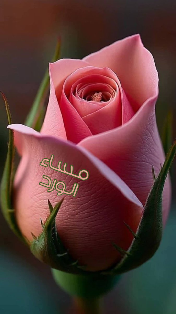 💎Samo💎 tweet media